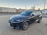 Lexus NX 300h Executive Line  - Lexus: Geländewagen