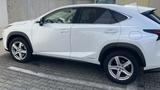 Lexus NX 300 300h Executive Line Executive Line - Lexus NX Series: Privatanbieter