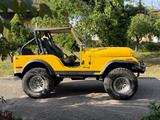 Jeep CJ 5 V8 - Jeep Gebrauchtwagen von 1978