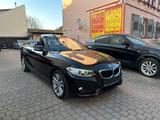 BMW 220 i Cabrio Advantage 1.Hand/Scheckheft/Leder/X - BMW 220 in Mannheim