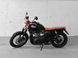 Triumph BONNEVILLE T100 JETBLACK (PG) - TRIUMPH BONNEVILLE