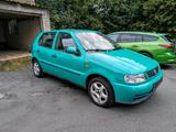 Volkswagen VW Polo 6N 1,2 GTI Ausstattung, Alufelgen TÜV - Volkswagen Polo: 6n GTI