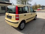 Fiat Panda 1.2 8V Dynamic TÜV&Service Neu - Fiat Panda Gebrauchtwagen in Hamburg