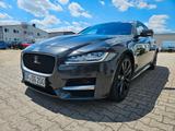 Jaguar XF R-Sport 300 - 3,0 D - Scheckheft - - Jaguar XF: R