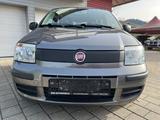 Fiat Panda 1.2 8V Classic 1.Hand - Fiat Panda Classic