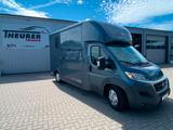 Fiat Ducato Böckmann 2 Pferdetransporter - Tier- & Pferdetransport für 2 Pferde