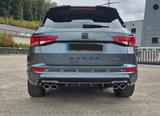 Cobra Ateca  - Cobra