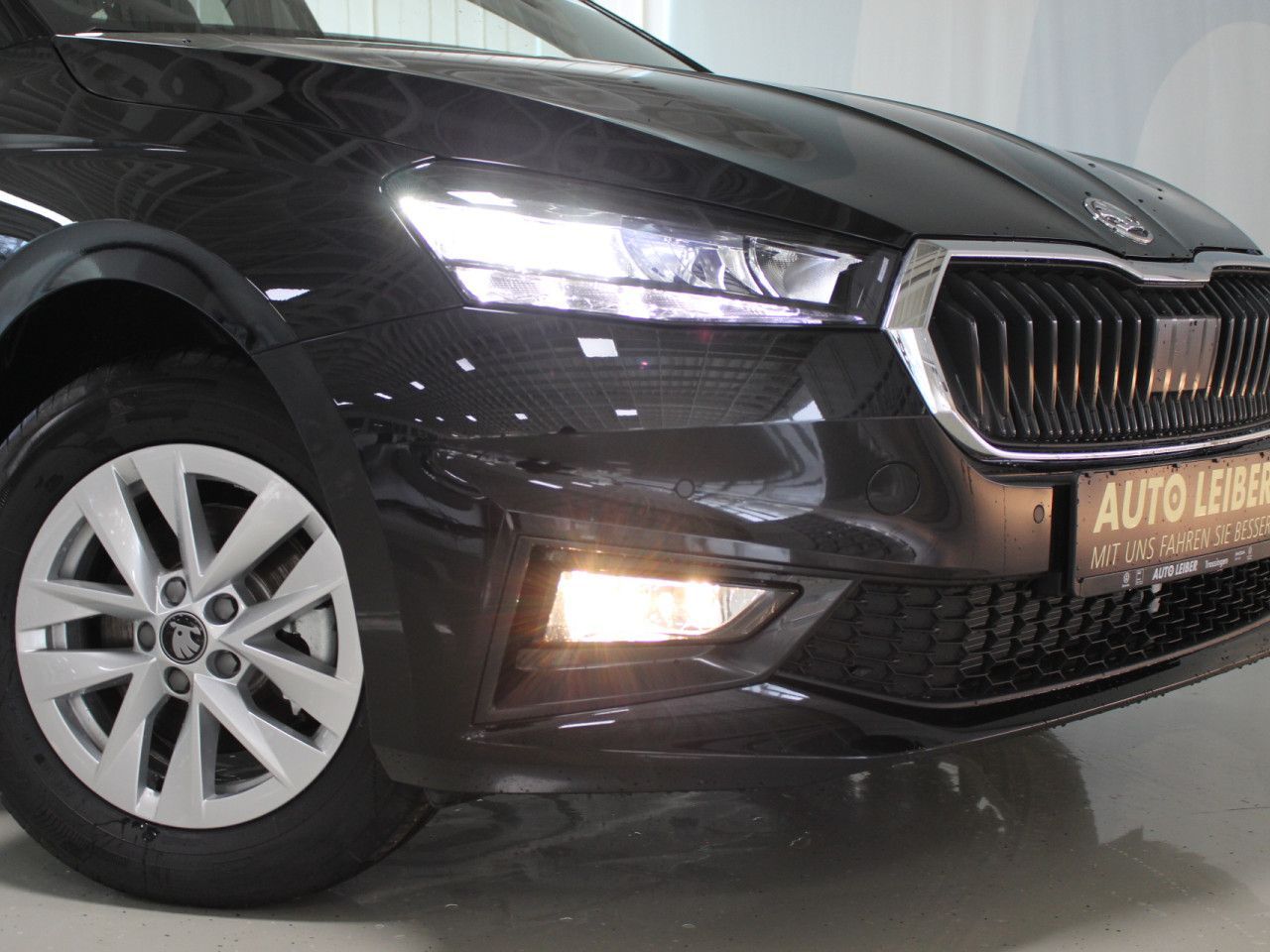 Fahrzeugabbildung SKODA Fabia 1.0 TSI Selection DSG/CAM/PDC/WINTER