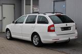 Skoda Octavia Combi Family+Klimaaut+Standhzg+Navi+AHK - Skoda Octavia: Winterreifen