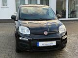 Fiat Panda Pop - gebrauchte Fiat Panda aus dem Jahr 2016