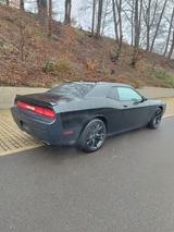 Dodge Challenger - Dodge Challenger in Wuppertal