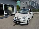Fiat 500 Lounge Limitiert 560 - Fiat 500 mit Benzin-Antrieb: Cabrio, Automatik