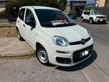 Fiat Panda 1.0 GSE S&S Hybrid Pop Van 2 posti - Fiat Panda POP mit Hybrid-Antrieb (Benzin/Elektro)