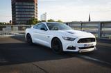 Ford Mustang GT US Performance Package Recaro - Ford Mustang: Us