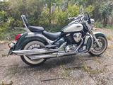 Suzuki VL800C - Offers matching your search criteria
