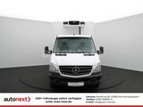 Mercedes-Benz Sprinter 316 Aut. *Carrier Pulsor 350 -20°C Tief - Angebote