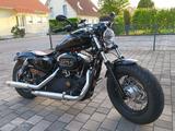 Harley-Davidson Forty Eight 48 XL 1200 Klappenauspuff und Extras
