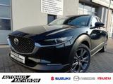 Mazda CX-30 Exclusive-Line Automatik 2.0 SKYACTIV-G M  - Mazda CX-30 Exclusive-Line mit Benzin-Antrieb
