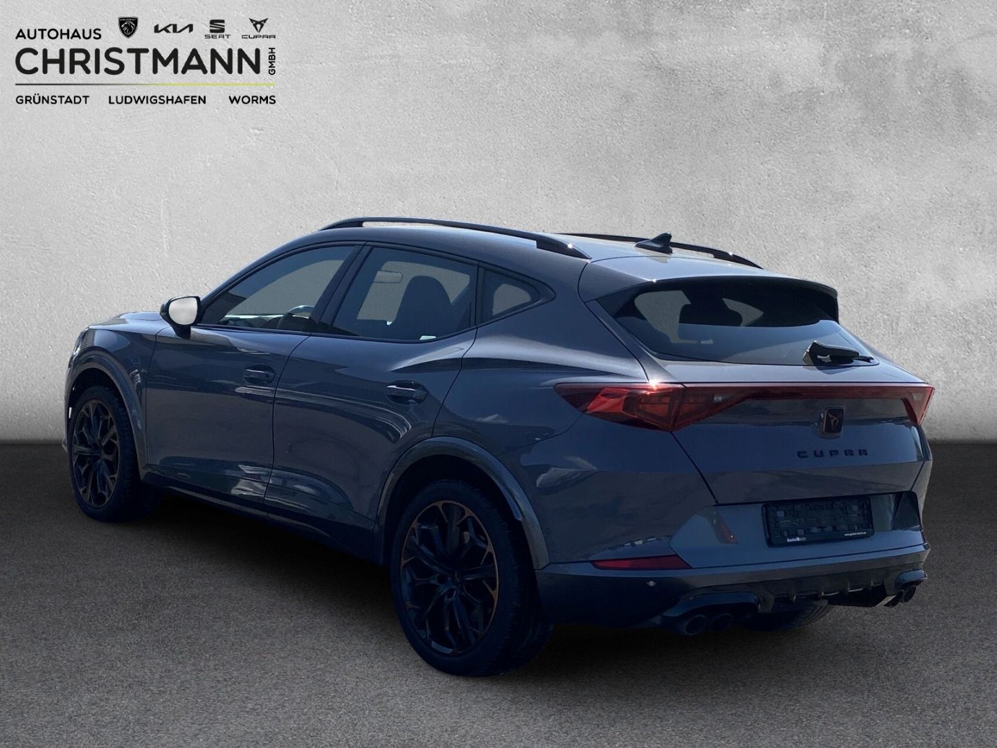 Fahrzeugabbildung CUPRA Formentor VZ 4Drive 2.0 TSI EU6d AD Navi Leder D