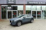 Mazda CX-30 Selection Autom Design- Activesence-Paket - Mazda CX-30 Gebrauchtwagen in Hamburg