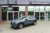 Mazda CX-30 Selection Autom Design- Activesence-Paket - Mazda CX-30 in Hamburg