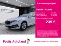 Skoda Octavia - Vorschau Bild 1