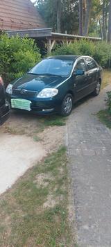 Toyota Corolla 1.6 linea sol linea sol - Toyota Corolla aus 2002: 1.6