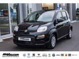 Fiat Panda Hybrid 1.0 GSE NEUES MODELL 2024 CITY TEMP - Fiat Panda Vorführfahrzeuge