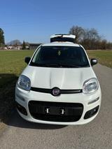 Fiat New Panda 1.2 8V POP POP - Fiat New Panda von privat