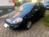 Fiat Punto 1.2 Benzin 59 Kw  TÜV bis  03.2027 - Fiat Punto in Wuppertal