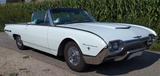 Ford Thunderbird Cabrio - Ford Thunderbird: Roadster