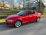 Audi A3 1,2 Anb. Cabrio, - Audi A3: Cabrio, 1.2