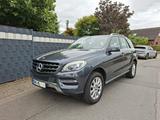 Mercedes-Benz ML 250 BlueTEC 4MATIC -LED-Pano-Volleder-Kamera - graue Mercedes-Benz ML 250