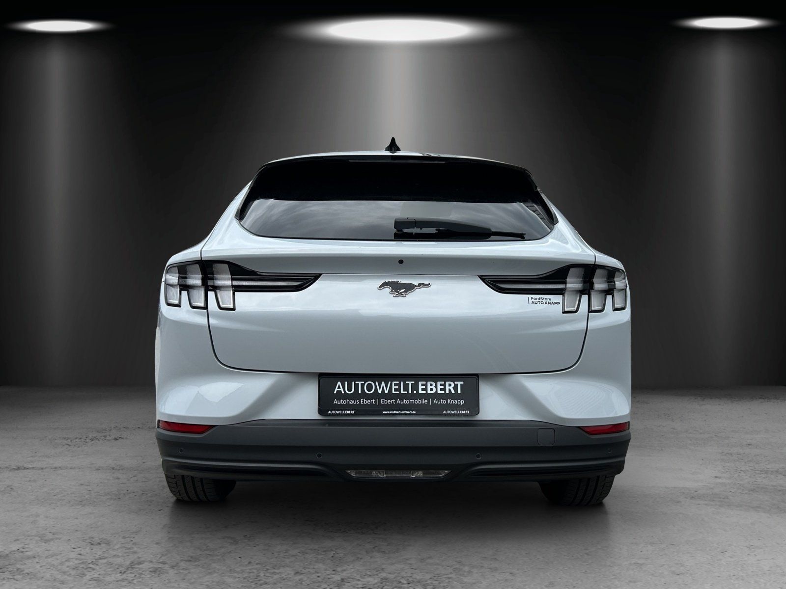 Fahrzeugabbildung Ford Mustang MACH-E Navi Leder Panodach