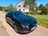 Mazda CX-30, VOLL-Ausstattung, 360°, Matrix - Mazda CX-30 in Stuttgart