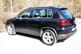 Volkswagen Tiguan 2.0 TDI SCR 135 DSG 4M BMT LOU Sport ... - Gebrauchtwagen in Österreich