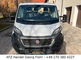 Fiat Ducato - Kastenwagen