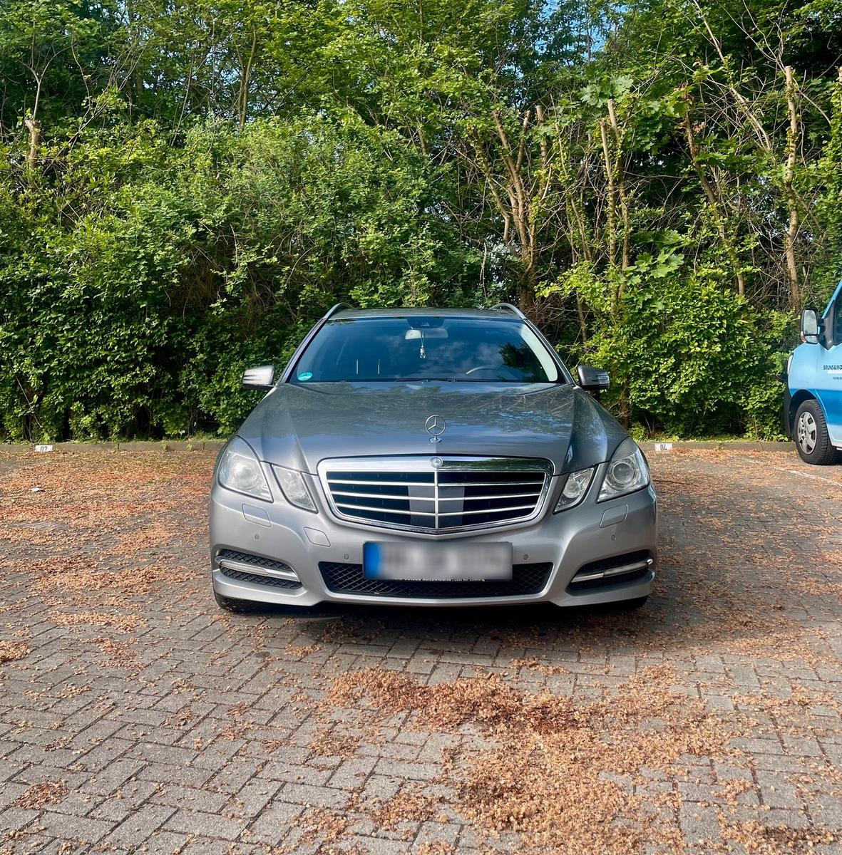 Mercedes-Benz 220 2010 — rear view