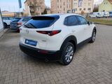Mazda CX-30 150PS Exclusive-line  MATRIX-LED NAVI HEAD - Mazda CX-30: Exclusive Line