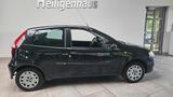 Fiat Punto 1.2 8V Start Klimaanlage Servo - Fiat Punto in Oberhausen