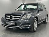 Mercedes-Benz GLK 220 BlueEfficiency 4Matic Teilleder Tempomat