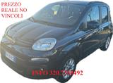 Fiat Panda 1.2 Lounge s&s 69cv my19 KM CERTIFICA - Fiat Panda Cabrio Gebrauchtwagen