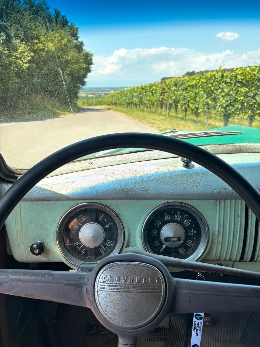 Chevrolet 3100 Panel 1955 1st Series H-Kennz. < 4.200 km