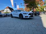 Ford Mustang 5.0 V8 GT RECARO/SHAKER/GRAIL - Ford Mustang in Osnabrück