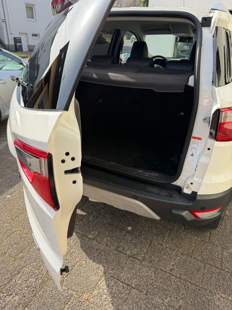 Fahrzeugabbildung Ford EcoSport Titanium 8fach Bereift ALUFelgen