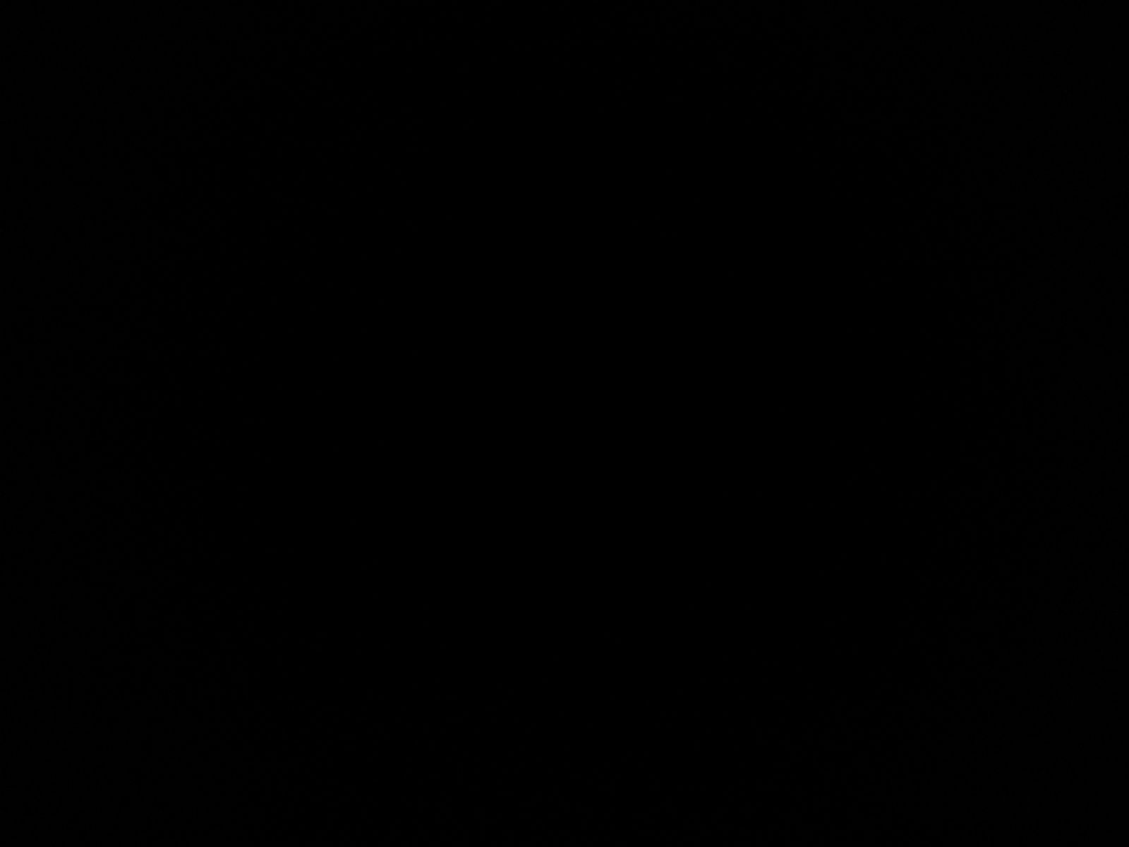 Volkswagen Golf - Bild 18