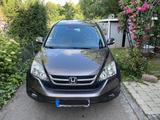Honda CR-V 2.0 Comfort 50 Jahre Edition Comfort 50... - Honda CR-V Comfort mit Benzin-Antrieb