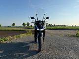 Honda SH 150 / SH150i Topcase Windschutzscheibe - HONDA ROLLER SH150I
