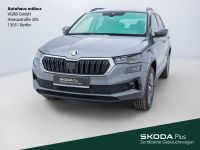 Skoda Karoq - Vorschau Bild 1