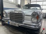 Mercedes-Benz 280 SE Coupe (W111) Flachkühler EZ 1969 McKinsey - Mercedes-Benz: Coupé, W111